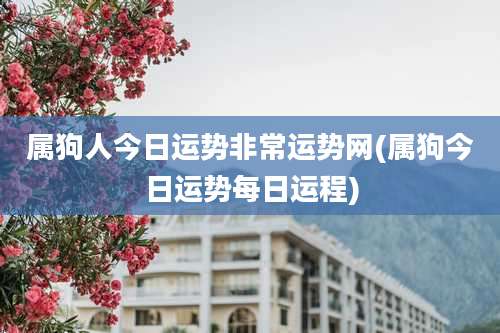 属狗人今日运势非常运势网(属狗今日运势每日运程)