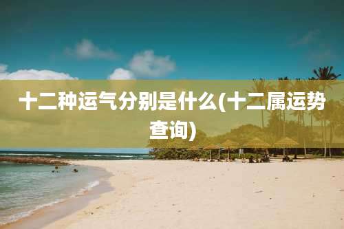 十二种运气分别是什么(十二属运势查询)