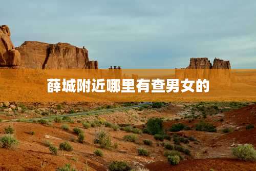 薛城附近哪里有查男女的