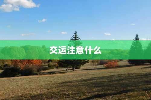 交运注意什么