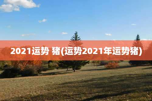 2021运势 猪(运势2021年运势猪)