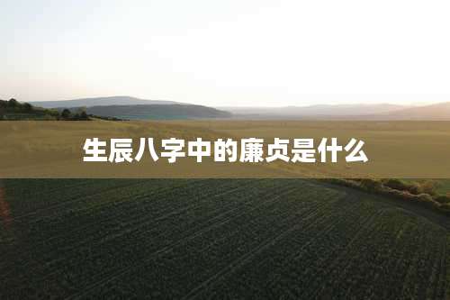 生辰八字中的廉贞是什么