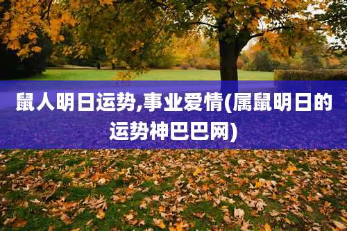 鼠人明日运势,事业爱情(属鼠明日的运势神巴巴网)