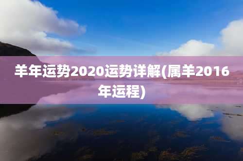 羊年运势2020运势详解(属羊2016年运程)