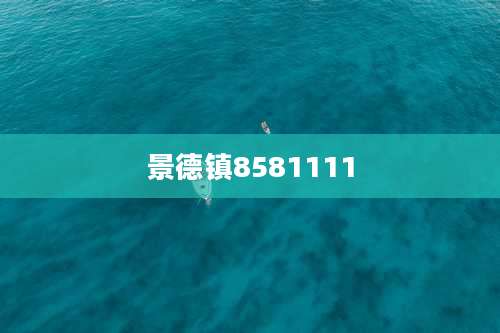 景德镇8581111