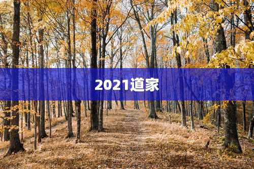 2021道家