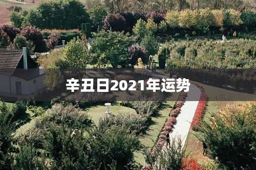 辛丑日2021年运势