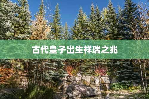 古代皇子出生祥瑞之兆