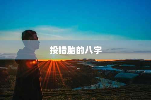 投错胎的八字