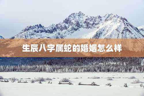 生辰八字属蛇的婚姻怎么样