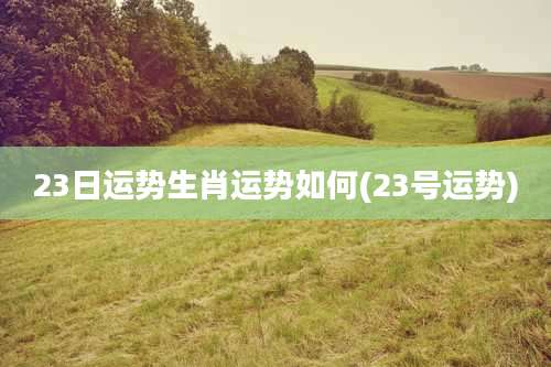 23日运势生肖运势如何(23号运势)