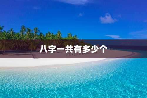 八字一共有多少个