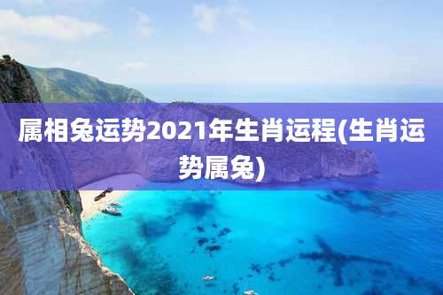 属相兔运势2021年生肖运程(生肖运势属兔)
