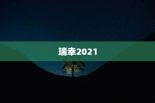 瑞幸2021