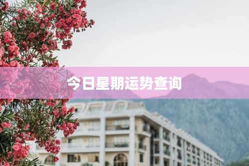 今日星期运势查询