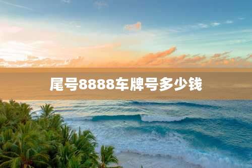 尾号8888车牌号多少钱