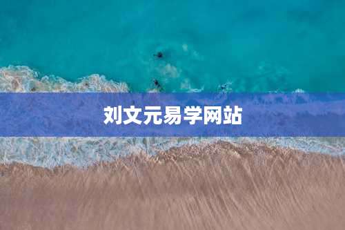 刘文元易学网站