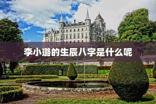 李小璐的生辰八字是什么呢