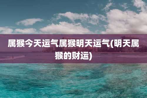 属猴今天运气属猴明天运气(明天属猴的财运)