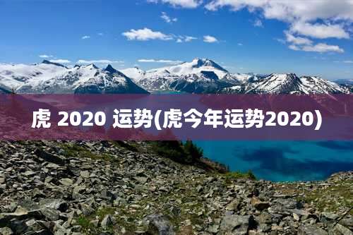 虎 2020 运势(虎今年运势2020)