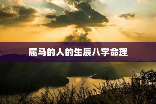 属马的人的生辰八字命理
