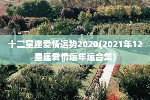 十二星座爱情运势2020(2021年12星座爱情运年运合集)