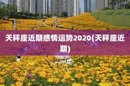 天秤座近期感情运势2020(天秤座近期)
