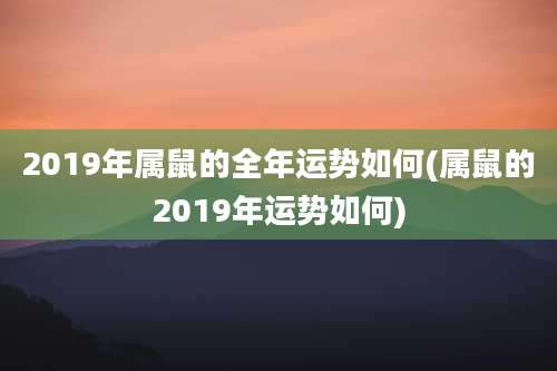 2019年属鼠的全年运势如何(属鼠的2019年运势如何)