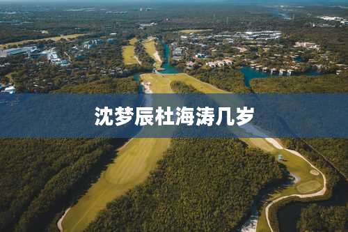 沈梦辰杜海涛几岁