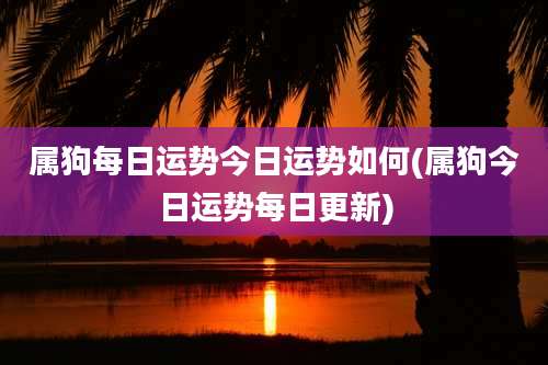 属狗每日运势今日运势如何(属狗今日运势每日更新)