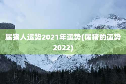 属猪人运势2021年运势(属猪的运势2022)