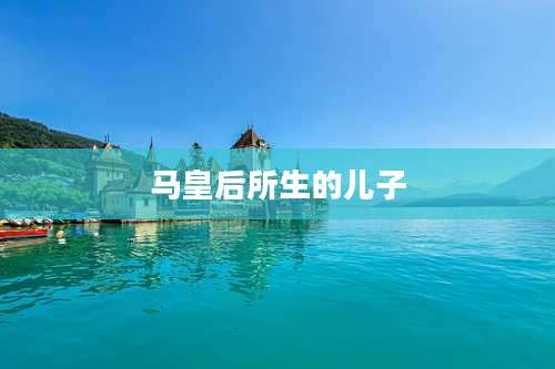 马皇后所生的儿子