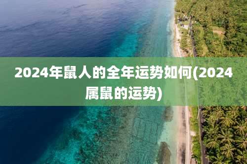 2024年鼠人的全年运势如何(2024属鼠的运势)
