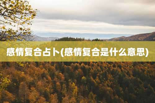 感情复合占卜(感情复合是什么意思)