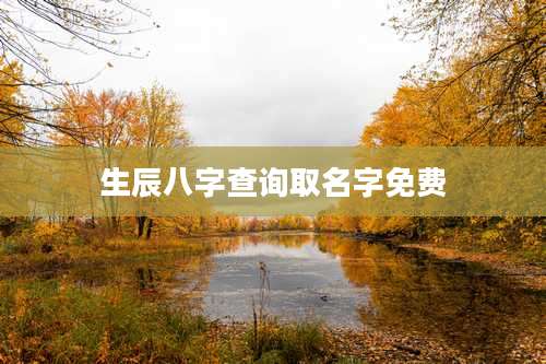 生辰八字查询取名字免费