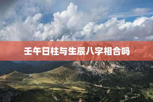 壬午日柱与生辰八字相合吗