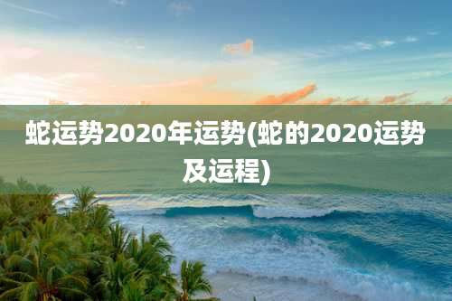 蛇运势2020年运势(蛇的2020运势及运程)