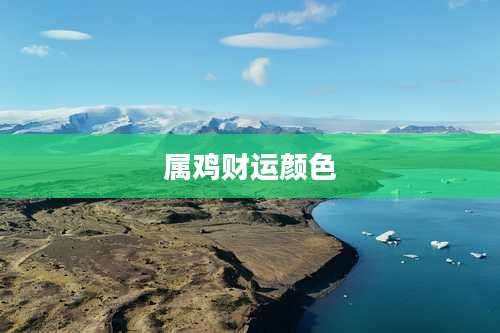 属鸡财运颜色