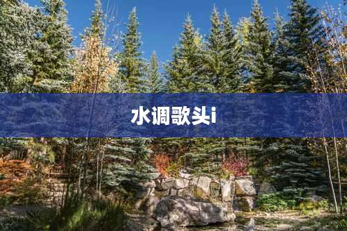 水调歌头i