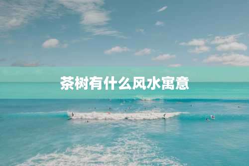 茶树有什么风水寓意