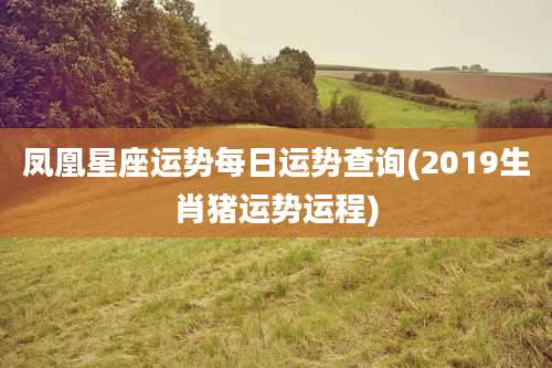 凤凰星座运势每日运势查询(2019生肖猪运势运程)