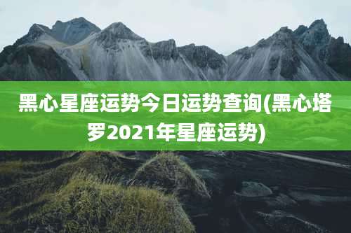 黑心星座运势今日运势查询(黑心塔罗2021年星座运势)