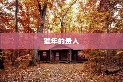 猴年的贵人
