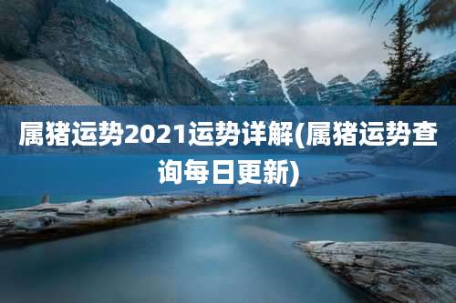 属猪运势2021运势详解(属猪运势查询每日更新)