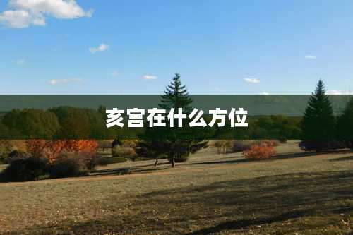 亥宫在什么方位