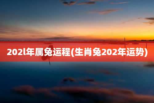 202l年属兔运程(生肖兔202年运势)