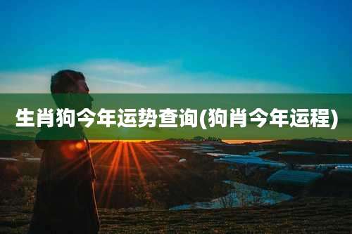 生肖狗今年运势查询(狗肖今年运程)