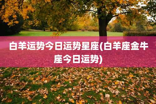 白羊运势今日运势星座(白羊座金牛座今日运势)