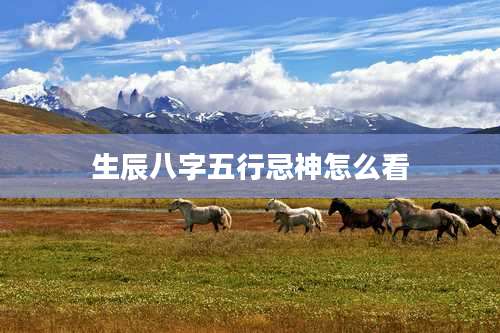 生辰八字五行忌神怎么看