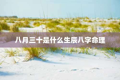 八月三十是什么生辰八字命理
